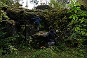 IMG_9969