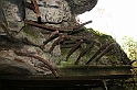IMG_9974