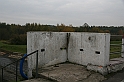 IMG_9993