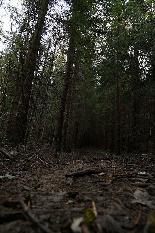 IMG_9305