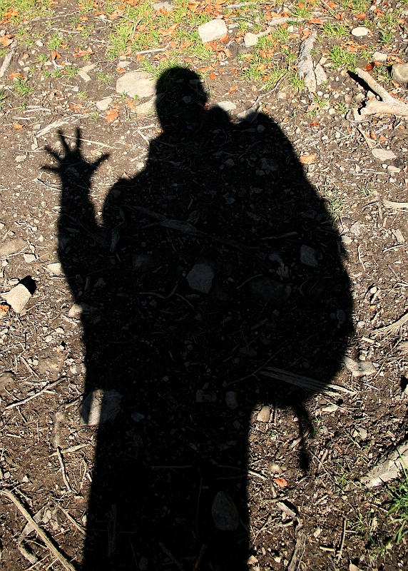 IMG_9484