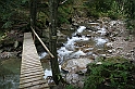 IMG_9250