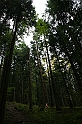 IMG_9252