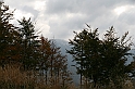 IMG_9279
