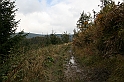 IMG_9281