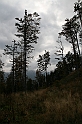 IMG_9284