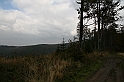 IMG_9287