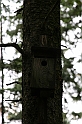 IMG_9297