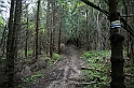 IMG_9300