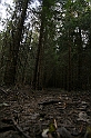 IMG_9305