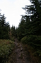 IMG_9313