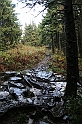 IMG_9326