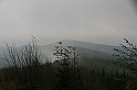 IMG_9332