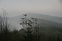 IMG_9333