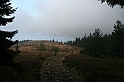 IMG_9335