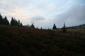 IMG_9336