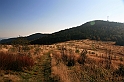 IMG_9358