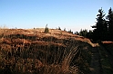 IMG_9373