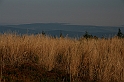 IMG_9381