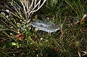 IMG_9392