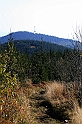 IMG_9415
