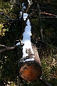 IMG_9447