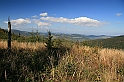 IMG_9490