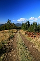 IMG_9503