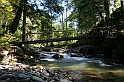 IMG_9513
