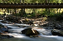 IMG_9517