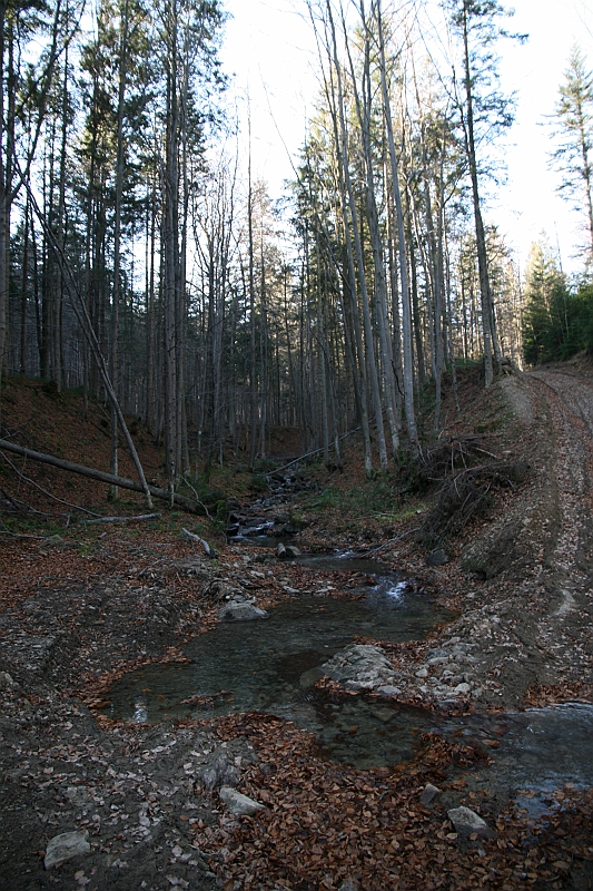 IMG_0251
