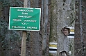 IMG_0243