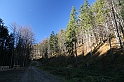 IMG_0247