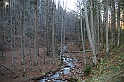 IMG_0249