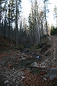 IMG_0251