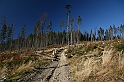 IMG_0255