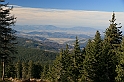 IMG_0282