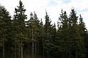 IMG_0362