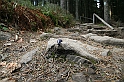 IMG_0370