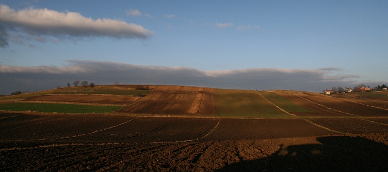 IMG_1376