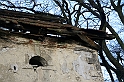 IMG_1352