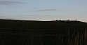 IMG_1379