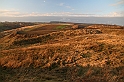 IMG_1390