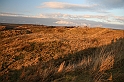 IMG_1391
