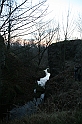 IMG_1401