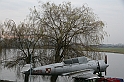 IMG_1407