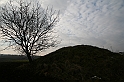 IMG_1430
