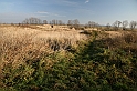 IMG_1433