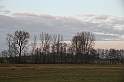 IMG_1552