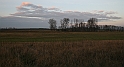 IMG_1555